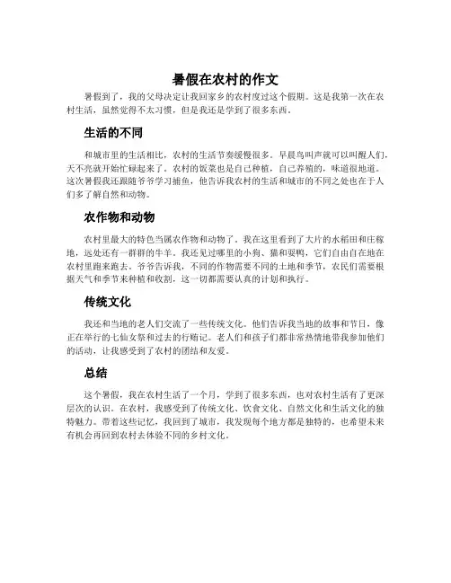 暑假在农村的作文