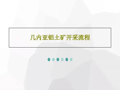 几内亚铝土矿开采流程共41页PPT