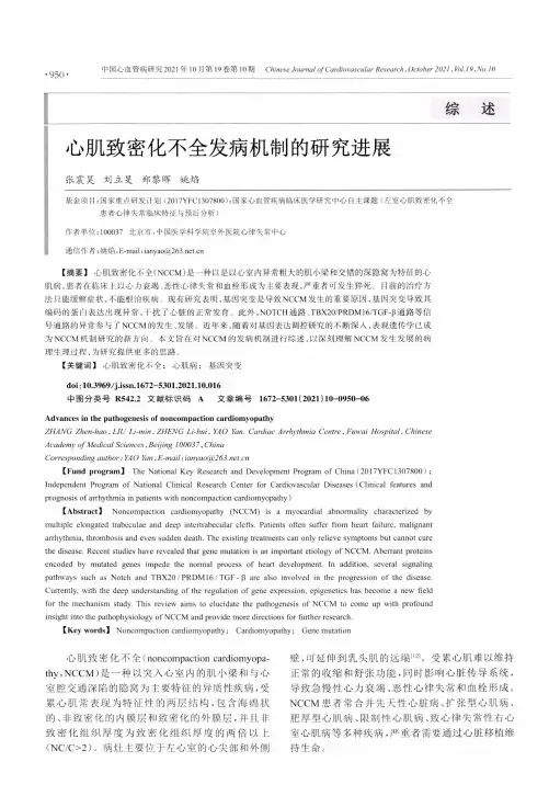 心肌致密化不全发病机制的研究进展