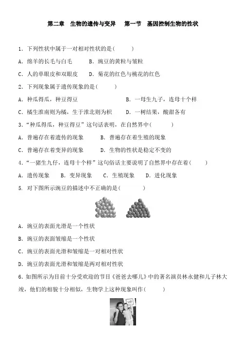 人教版生物八年级下册 第七单元 第二章 生物的遗传与变异   第一节 基因控制生物的性状 同步练习及答案