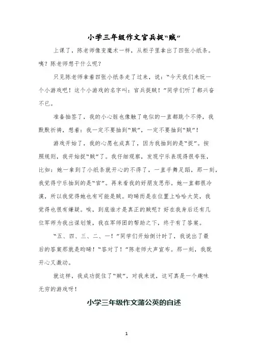 小学三年级作文官兵捉“贼”