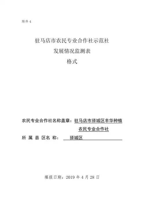 农民专业合作社财务报表格式