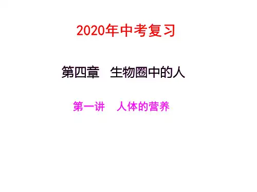2020年中考复习生物课件第四章 生物圈中的人1
