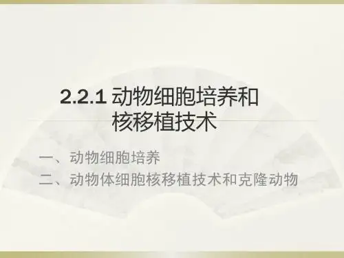 人教版教学课件2.2 动物细胞工程