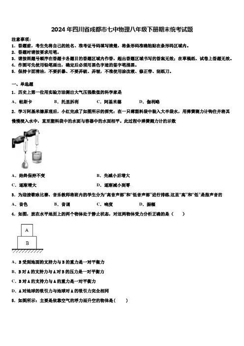 2024年四川省成都市七中物理八年级下册期末统考试题含解析