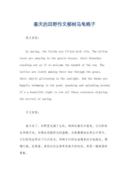 春天的田野作文柳树乌龟鸭子