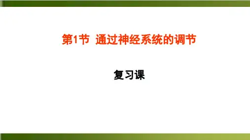 人教版生物必修三2.1《通过神经系统调节》精品PPT
