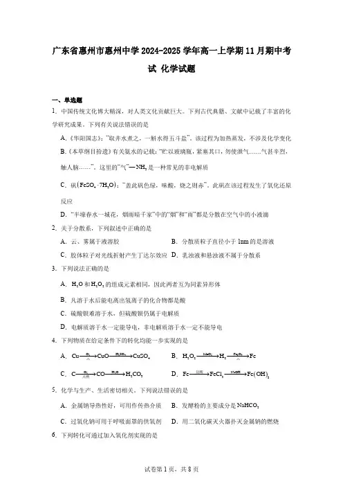 广东省惠州市惠州中学2024-2025学年高一上学期11月期中考试化学试题