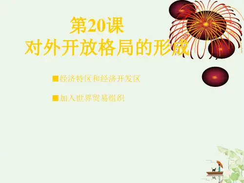 岳麓版 高中历史 必修二 -对外开放格局的形成 PPT