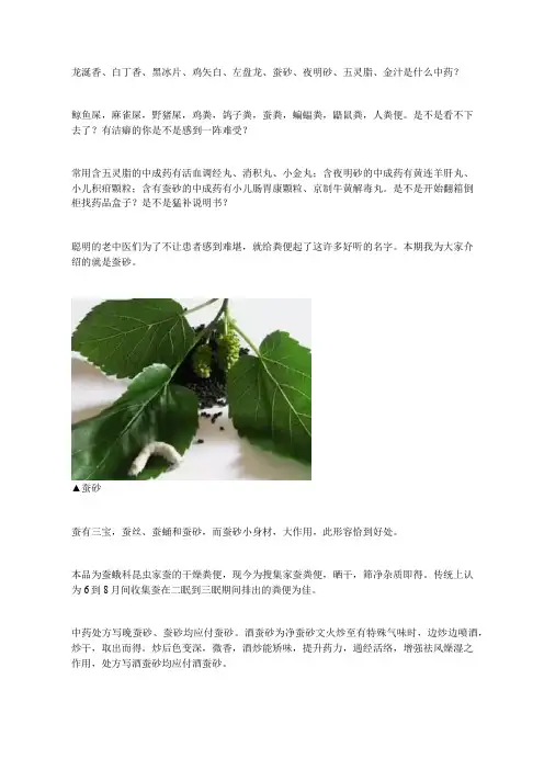 中药知识：蚕砂