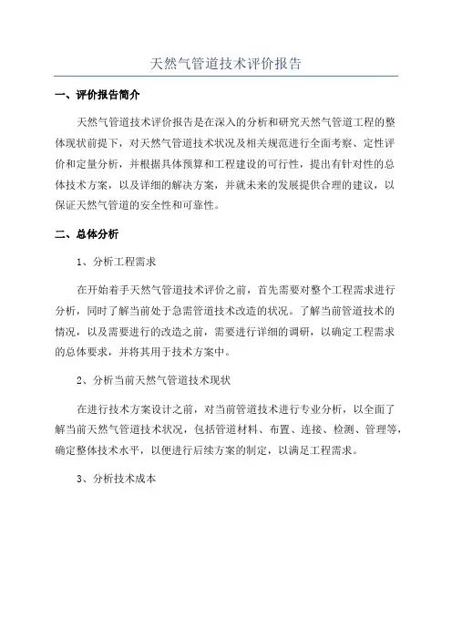 天然气管道技术评价报告