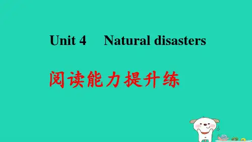 九年级英语下册Unit4Naturaldisasters阅读能力提升练习题pptx课件牛津深圳版