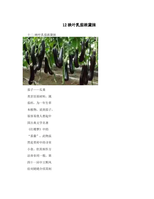 12映叶乳茄浓黛抹