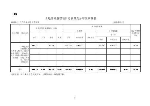 土地整理项目预算表格