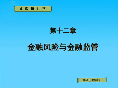 金融风险与金融监管(ppt 14页)