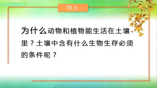 大象版小学科学新版三年级下册科学4.2土壤的成分(课件23张ppt)