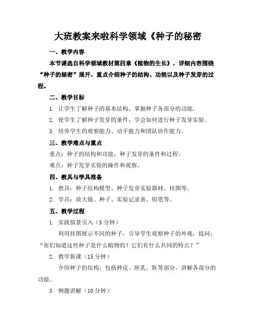 大班教案来啦科学领域《种子的秘密