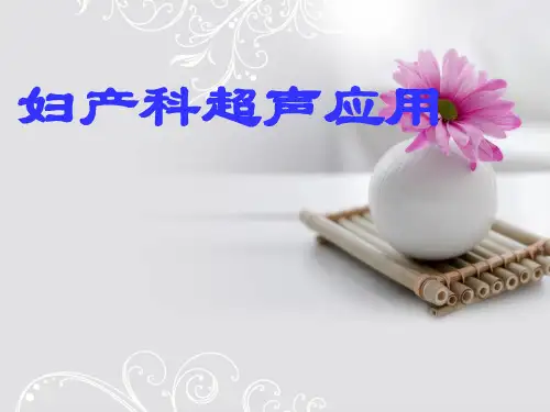 妇产科超声应用PPT课件