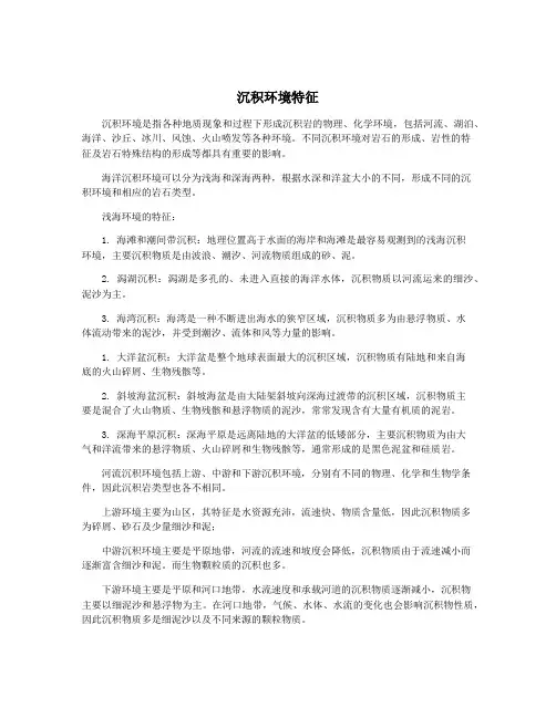 沉积环境特征