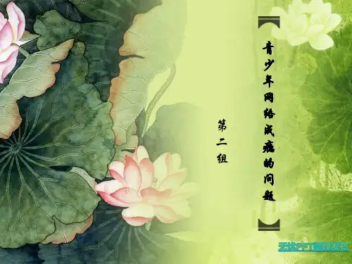 青少年网络成瘾ppt