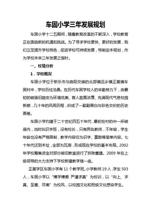 岸城小学三年发展规划