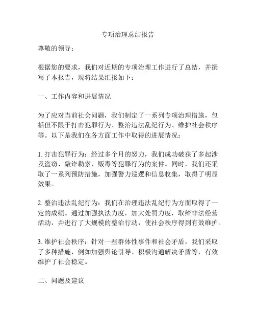 专项治理总结报告