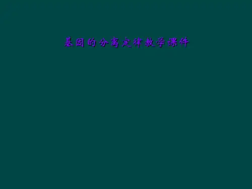 基因的分离定律教学课件