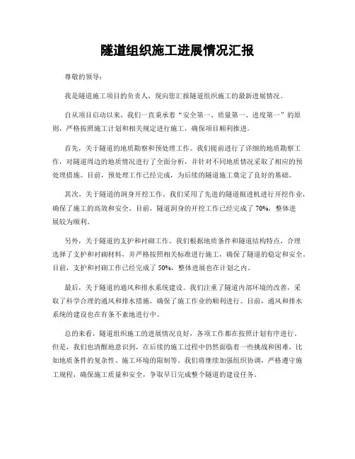 隧道组织施工进展情况汇报