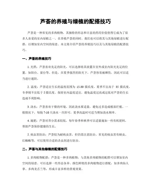 芦荟的养殖与绿植的配搭技巧