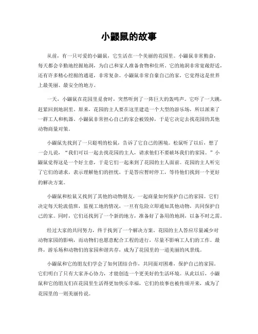 小鼹鼠的故事