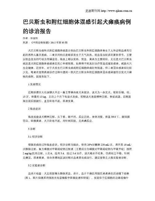 巴贝斯虫和附红细胞体混感引起犬瘫痪病例的诊治报告