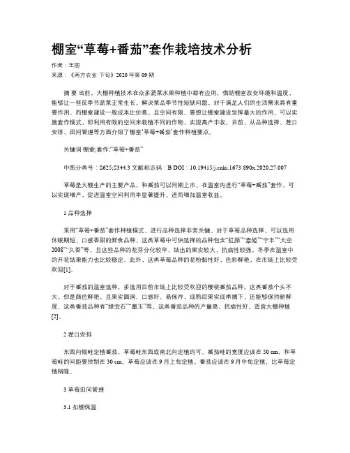 棚室“草莓+番茄”套作栽培技术分析