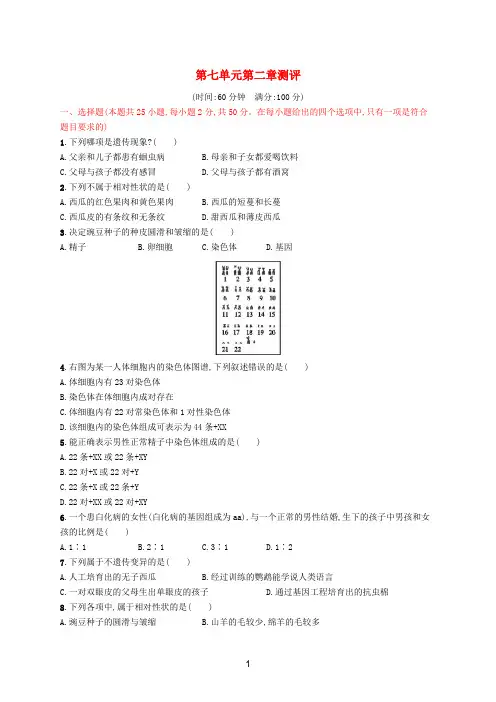 八年级生物下册 第七单元第二章 生物的遗传和变异测评 (新版)新人教版