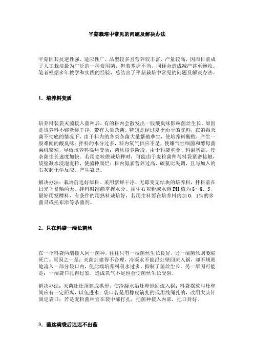 平菇栽培中常见的问题及解决办法