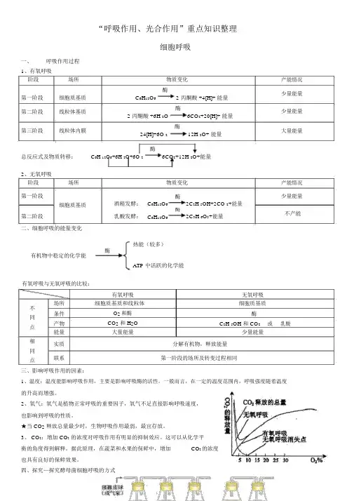 “细胞呼吸+光合作用”知识点