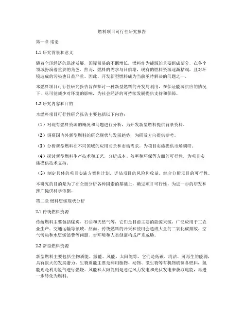 燃料项目可行性研究报告
