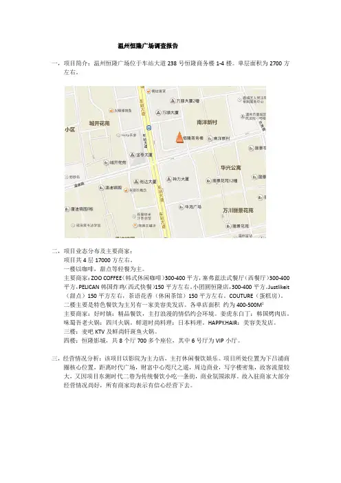 恒隆广场调研报告
