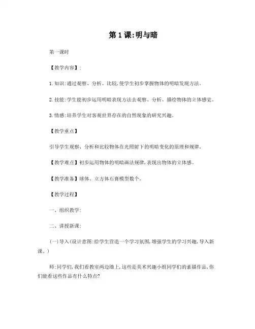 人教版新课标小学美术六年级下册全册教案