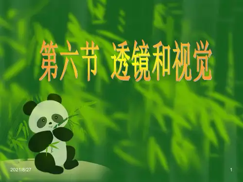 浙教版科学《透镜和视觉》ppt精品课件1