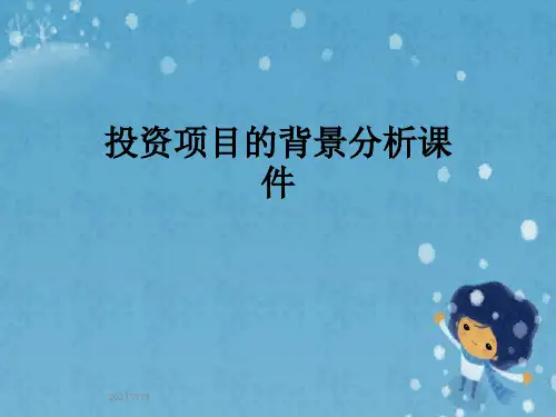投资项目的背景分析课件
