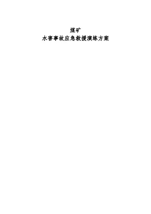 水害事故应急救援演练方案