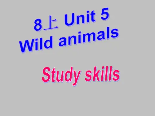 牛津译林英语八年级上册unit5 Study skills  (共21张PPT)
