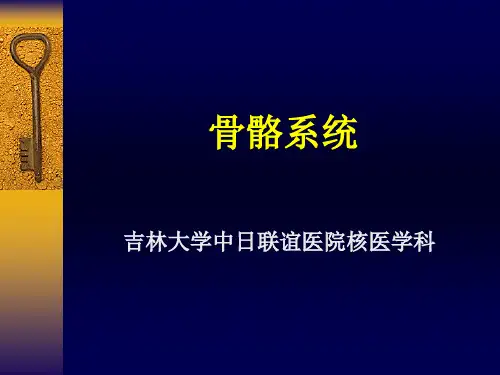 骨骼系统(7 年)