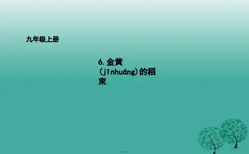 吉林省长市九年级语文上册6金黄的稻束课件长版