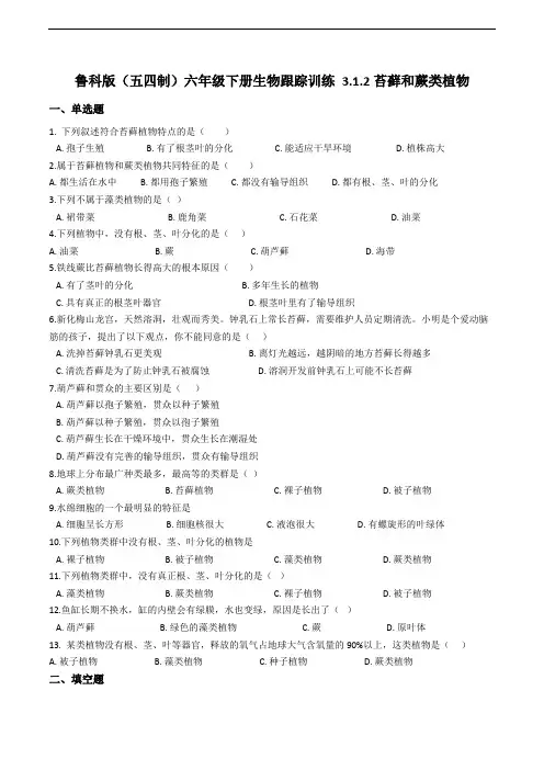 鲁科版(五四制)六年级下册生物跟踪训练 3.1.2苔藓和蕨类植物(解析版)