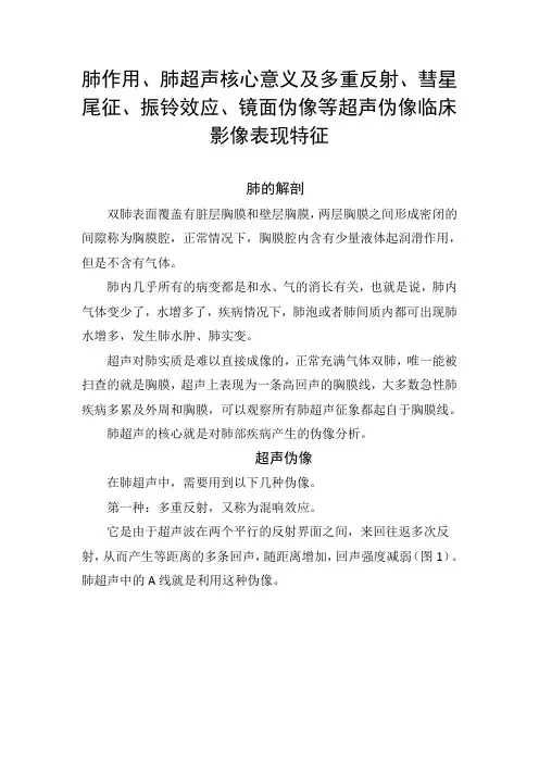 肺作用、肺超声核心意义及多重反射、彗星尾征、振铃效应、镜面伪像等超声伪像临床影像表现特征
