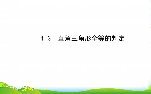 八年级数学下册第1章直角三角形1.3直角三角形全等的判定习题课件新版湘教版