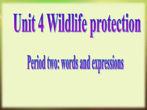 高考一轮复习-人教版英语必修2：U4 Wildlife protection 课件