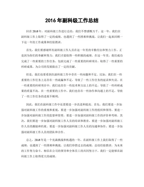 2016年副科级工作总结