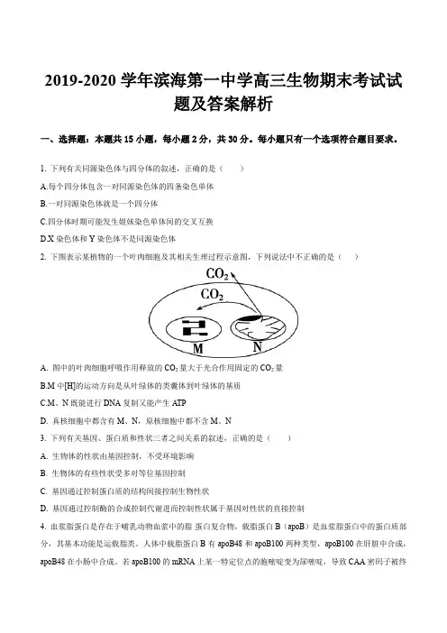 2019-2020学年滨海第一中学高三生物期末考试试题及答案解析